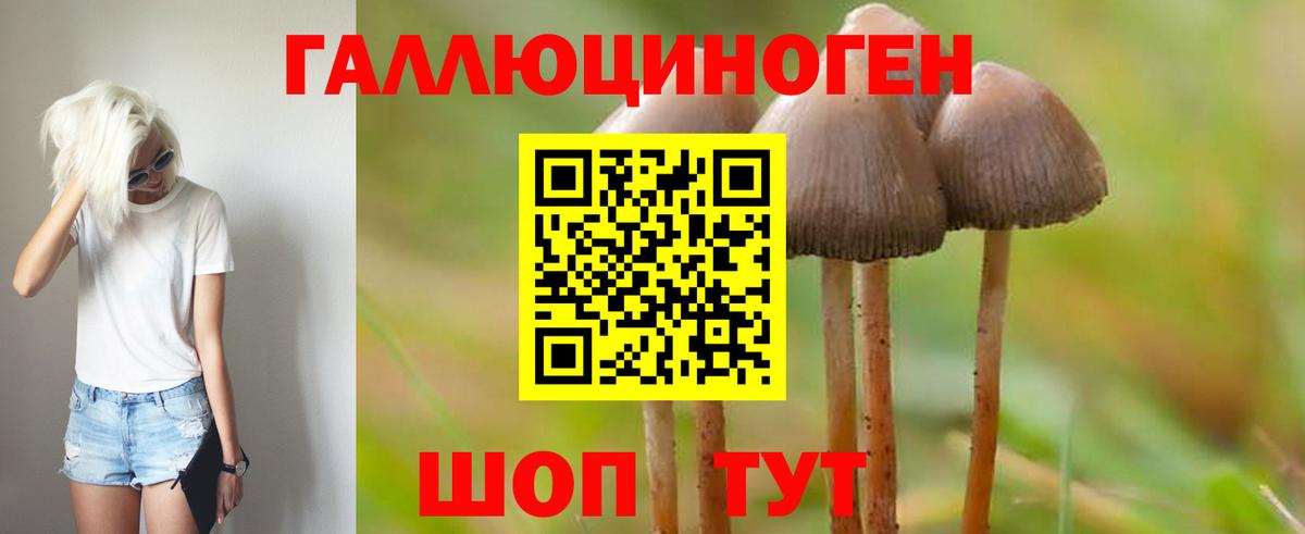 закладки  Псилоцибиновые грибы Cubensis  Псилоцибиновые грибы ЛСД  Вход с VPN  Полысаево 